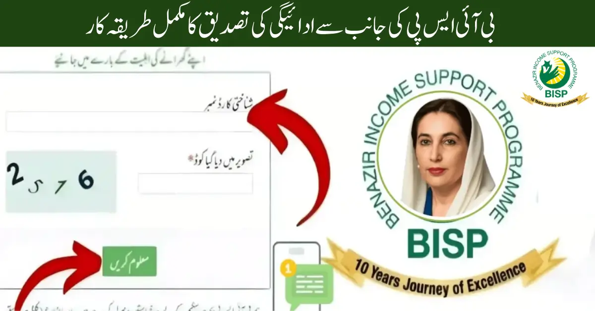 BISP 8171 Registration & Payment Check 2025 – Complete CNIC Verification Guide