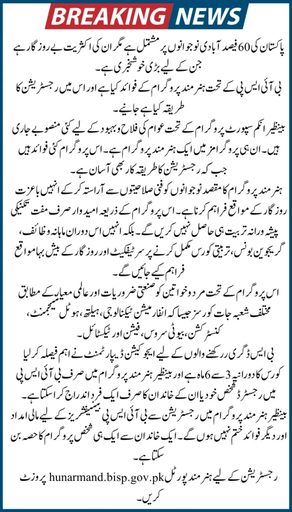 Benazir Hunarmand Program Complete Guide to Benefits, Eligibility & Online Registration Process