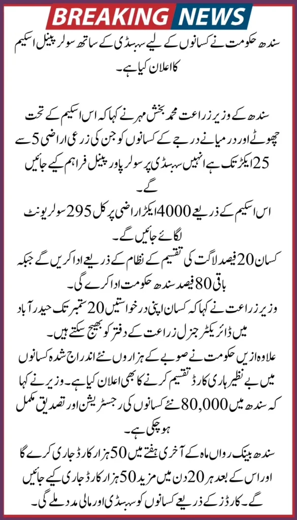 Easy Online Registration for Sindh CM Solar Energy Scheme 2025