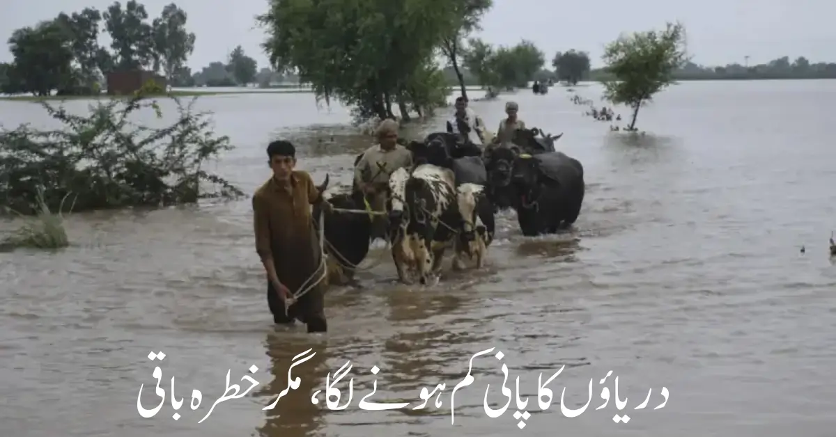 Flood Pressure Decreases in Punjab as Sutlej River and Head Panjnad See Lower Inflows