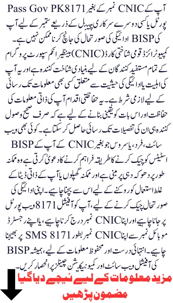 How to Safely Verify BISP 8171 Payment Status Online with CNIC in 2025
