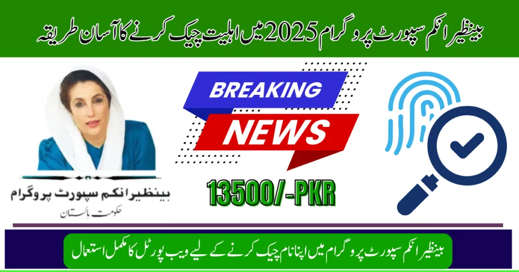 8171 Check Online 2025 – Verify Your BISP Payment and CNIC Status Step-by-Step