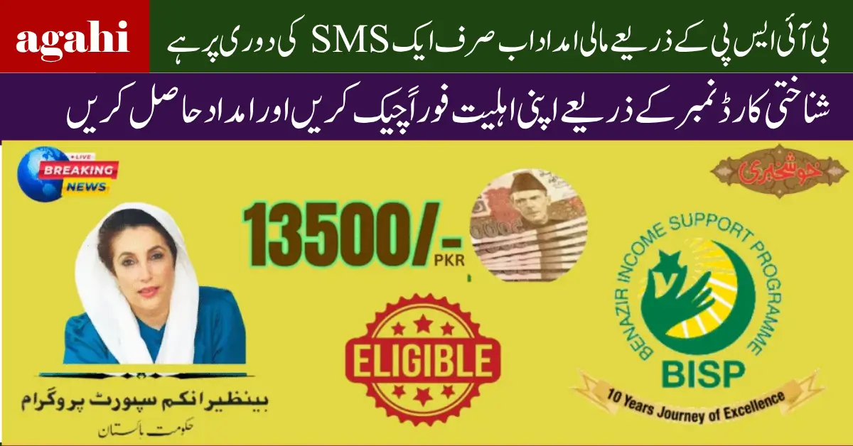 BISP Ehsaas 8171 Online Check 2025 Complete Guide to Verify Eligibility & Apply for Registration